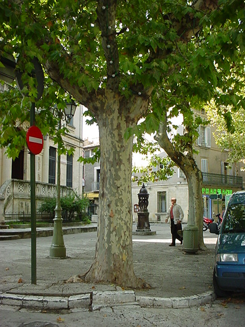 photo0114.jpg